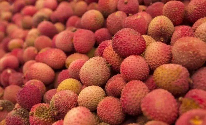 Dairy-free, antioxidant-rich foods